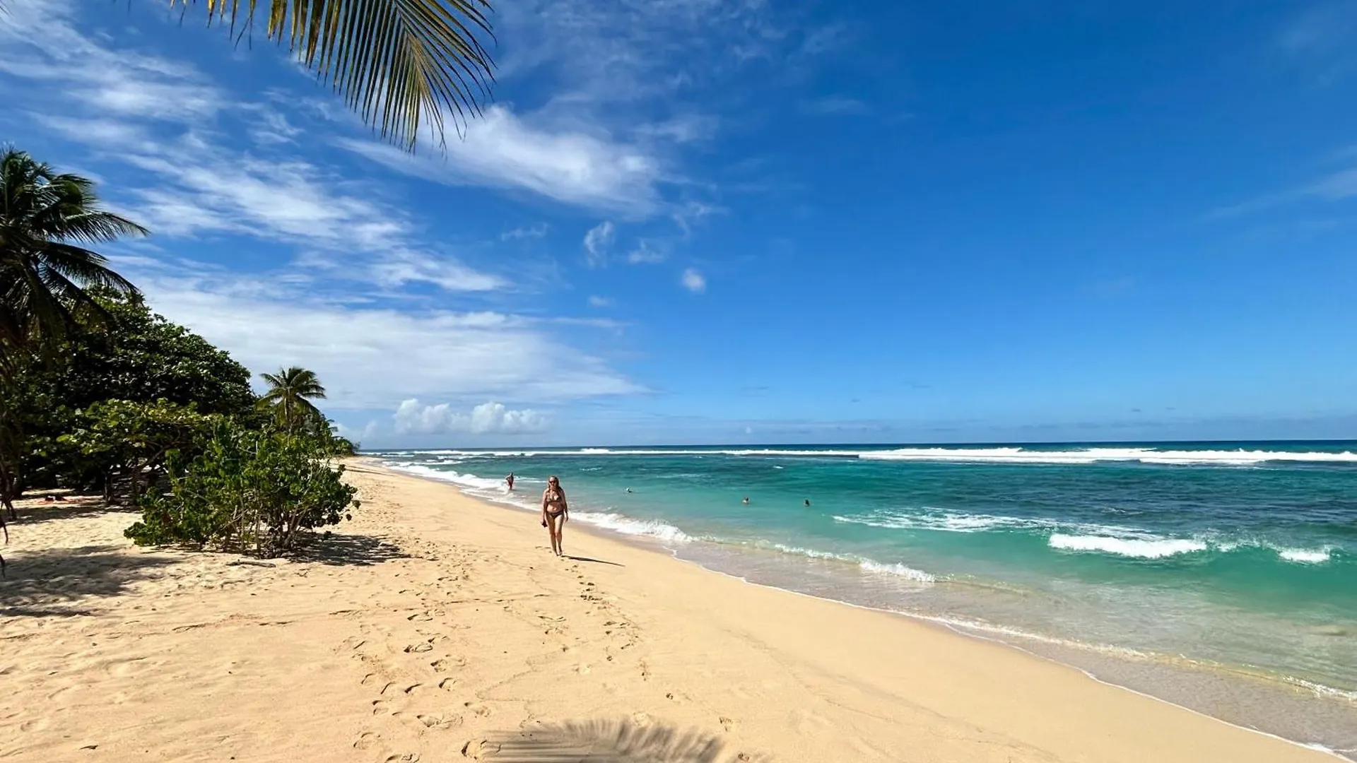 Gites Les Bienheureux - Piscine, Hamak, Terrasse Anse-Bertrand Guadeloupe